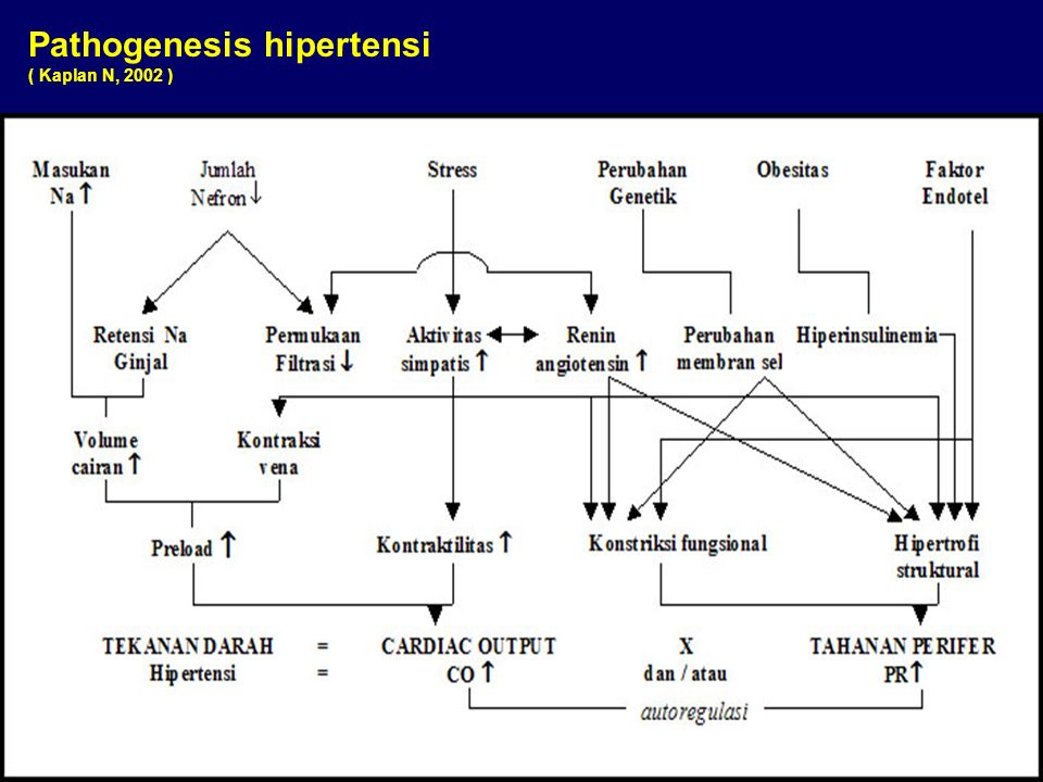 patogenezi hipertenzije)